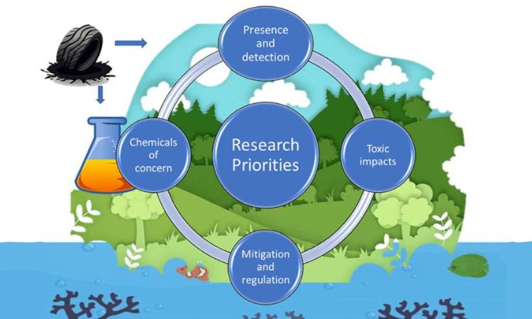 New study urges action on tire particles, a leading microplastic contributor